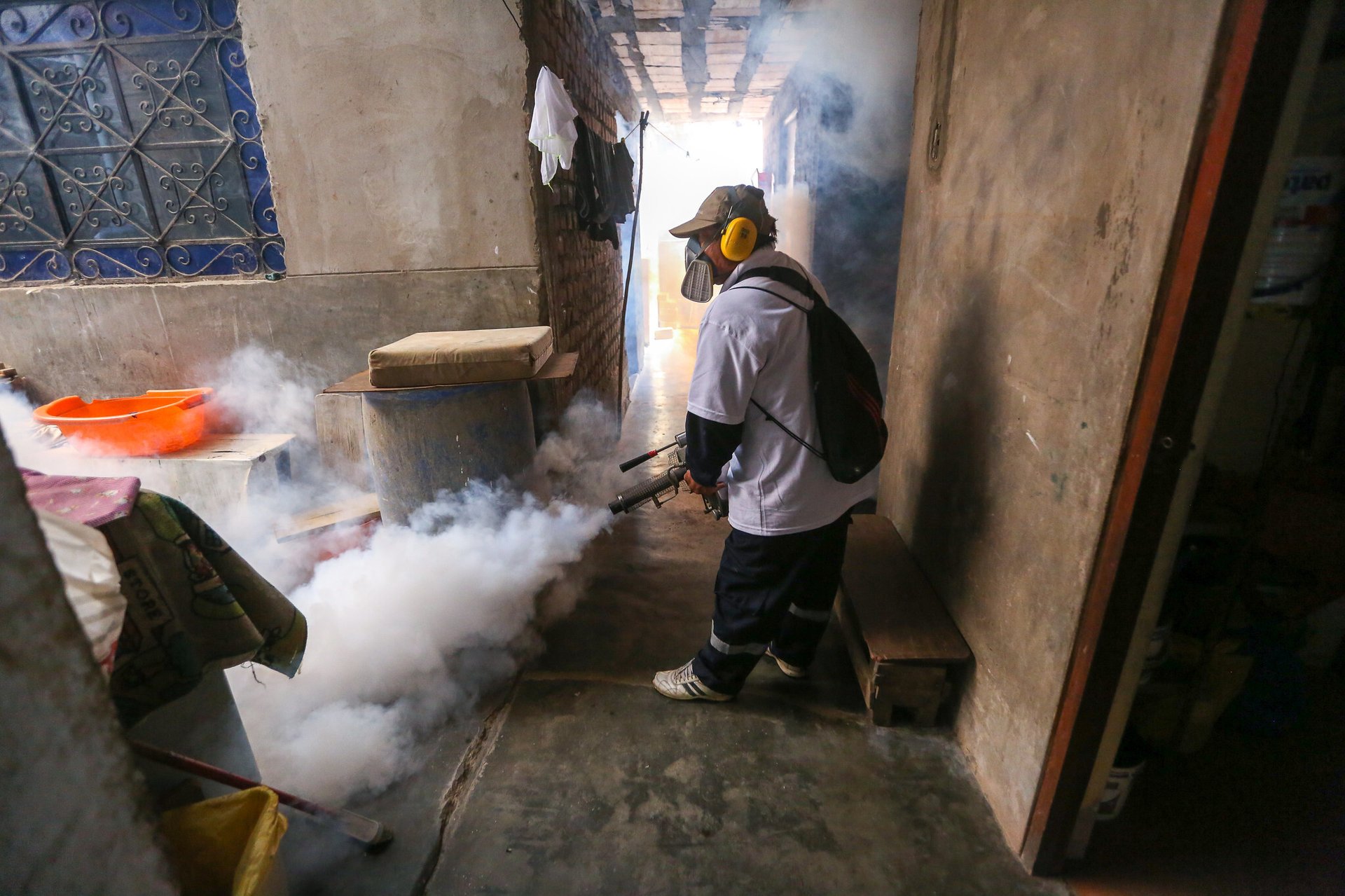 Alarma por aumento en casos de dengue: 97% más que el 2023