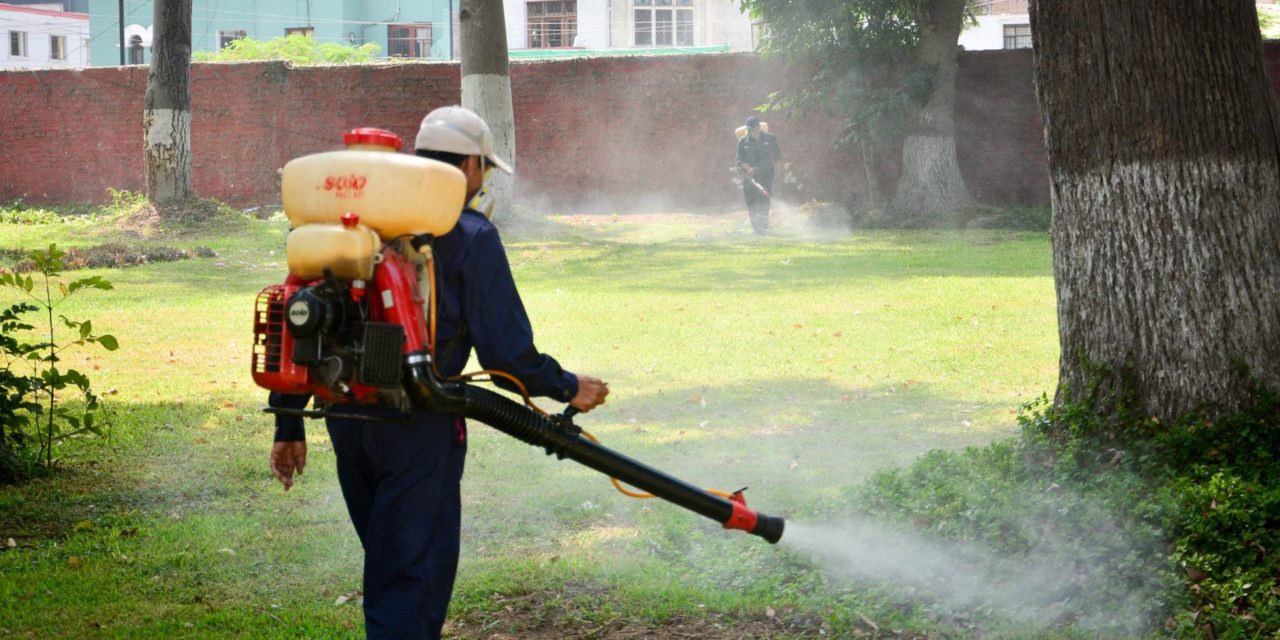 Dengue: 17 fallecidos y 15 mil contagios solo en una semana