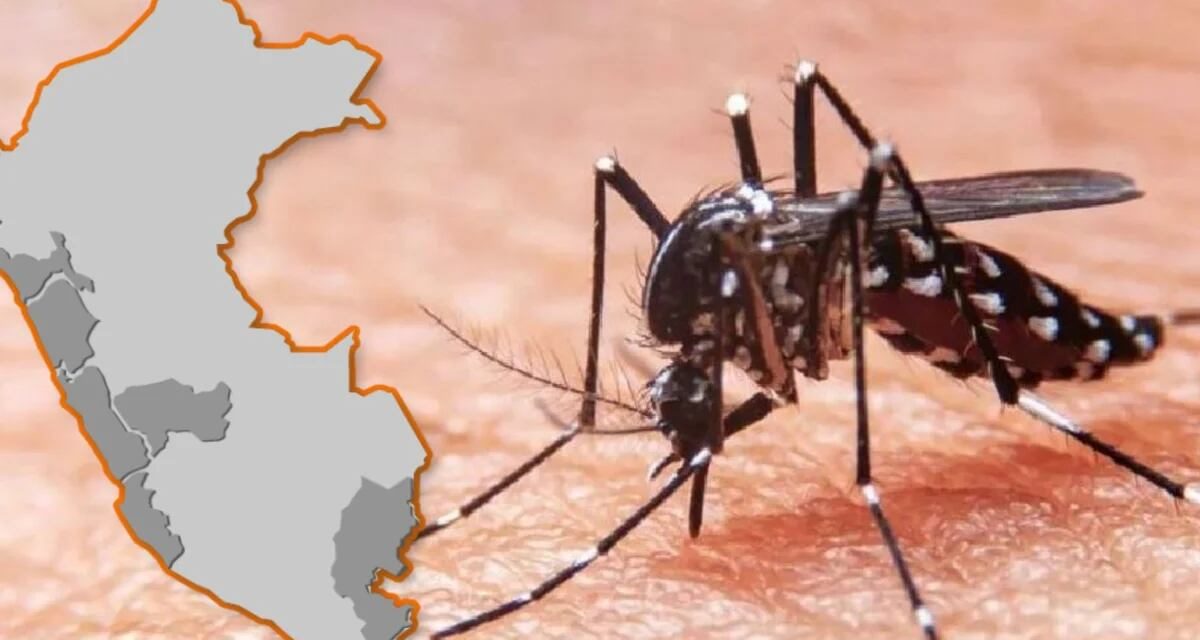 Semana Santa con posibilidad de verse afectada por Dengue