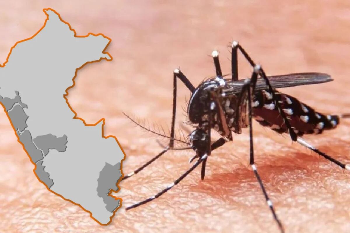 Semana Santa con posibilidad de verse afectada por Dengue