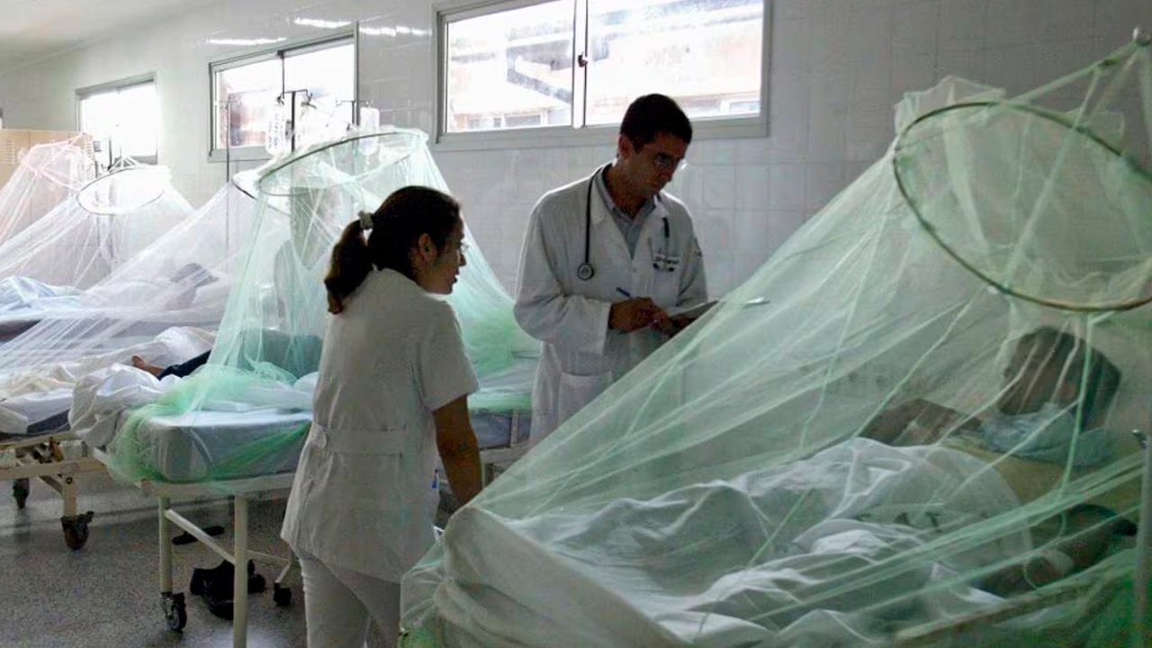 Ya suman 70 muertes  por dengue en el país