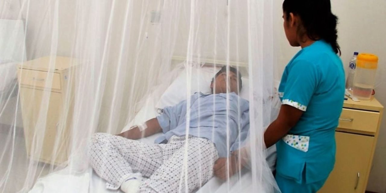 117 muertes y 90,208 casos de Dengue reportados en Perú