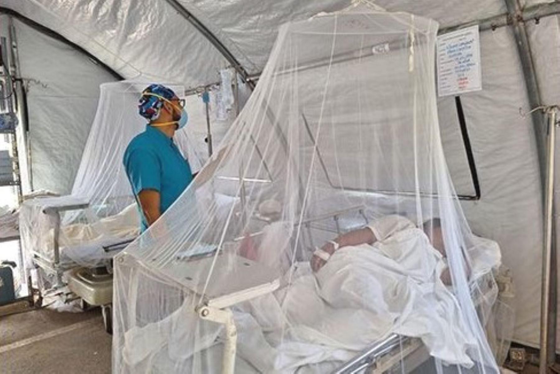 Más de 300 pacientes recuperados del dengue en el Hospital de VS