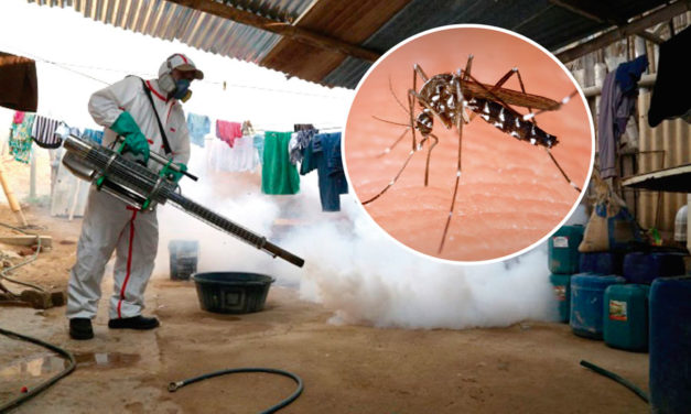 ¡Alerta! 117 personas fallecidas por dengue y 112.000 contagiados