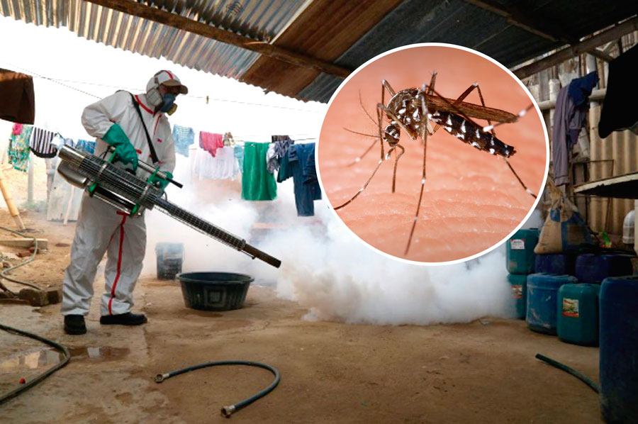 ¡Alerta! 117 personas fallecidas por dengue y 112.000 contagiados
