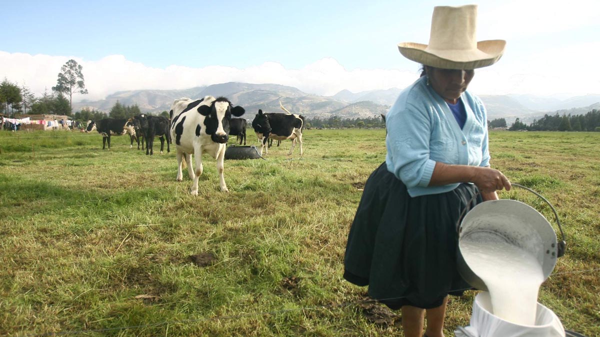 Midagri: Nueva iniciativa sostenible en la producción ganadera
