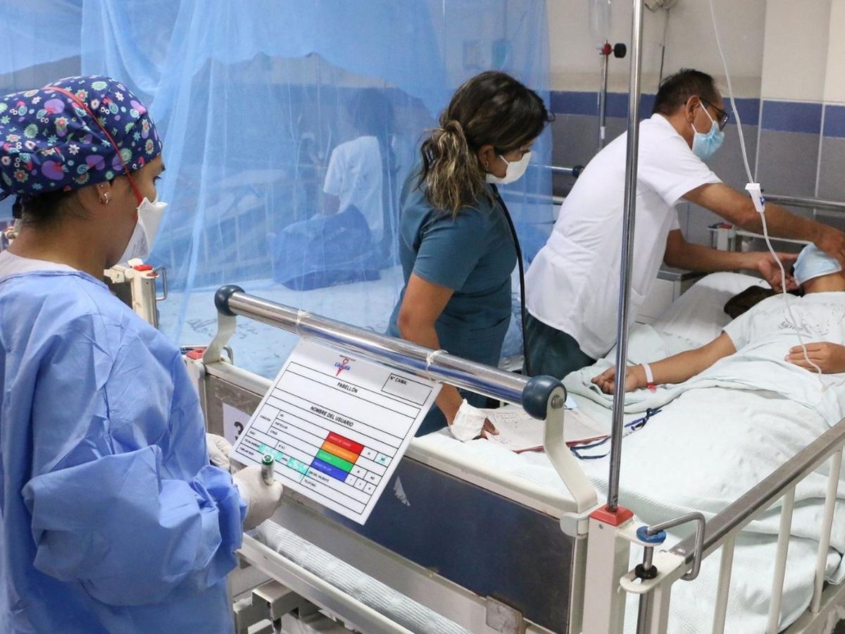 Casos de dengue en Lima están llegando a su punto más alto