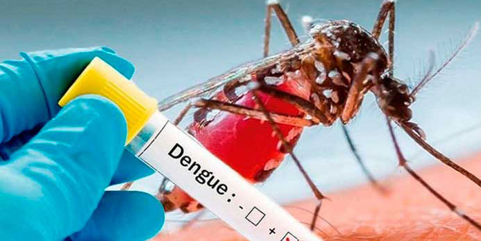 Dengue: Casos en Latinoamérica superan los 5,2 millones