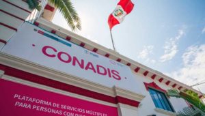 Ica: Más de 30 mil discapacitados no son registrados en Conadis