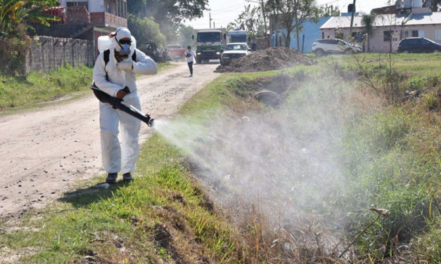 Dengue: Gobierno transfiere al Minsa transfiere más de S/56 millones a Minsa para combatir enfermedad