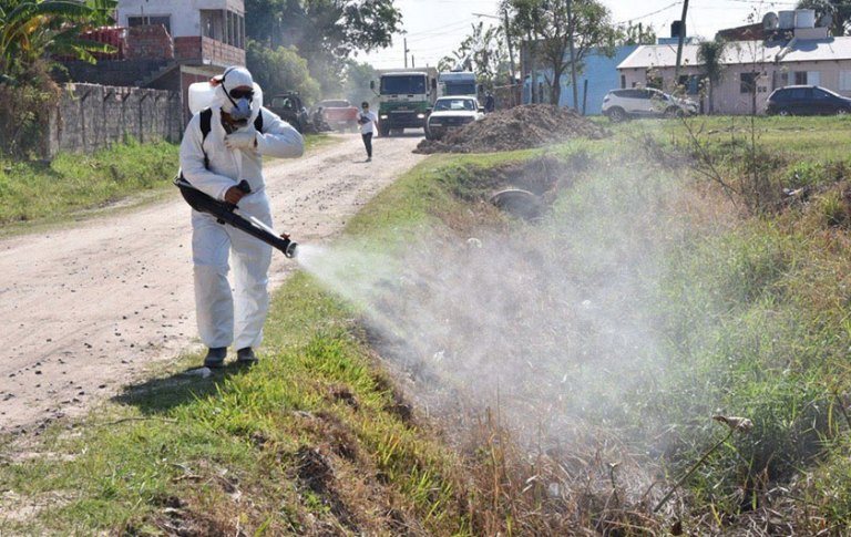 Dengue: Gobierno transfiere transfiere más de S/56 millones a Minsa ...