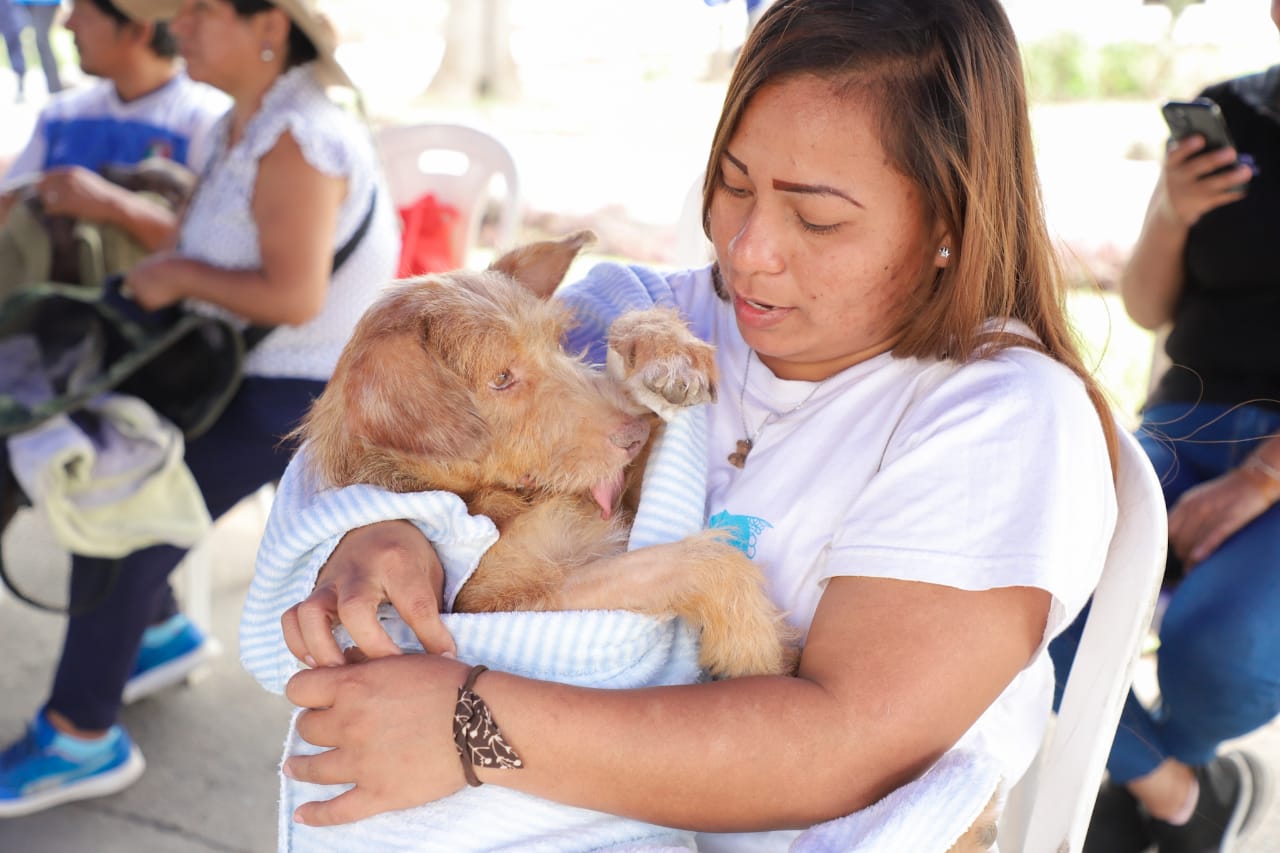 Alcalde de Ate cumple promesa y esteriliza más de 300 mascotas