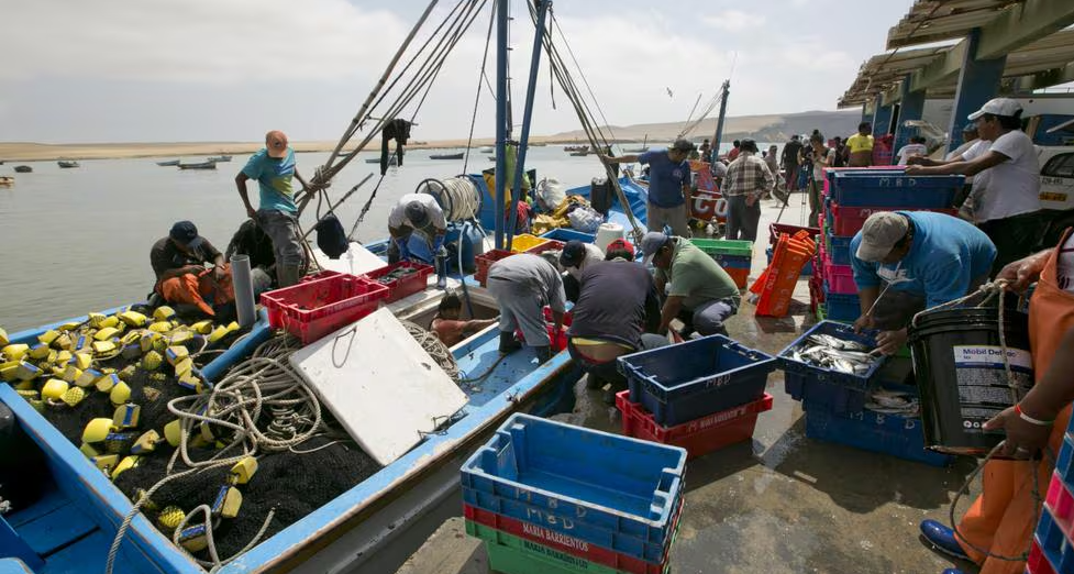 Gobierno emitió créditos a pescadores artesanales y acuicultores