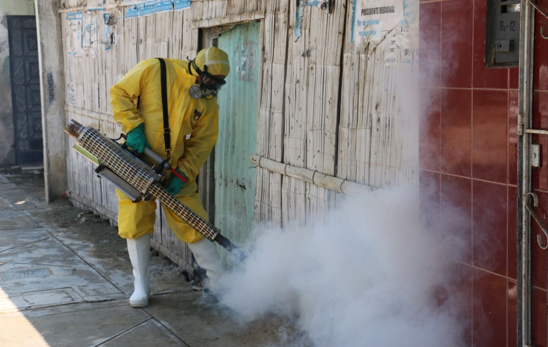 Dengue en Piura: gran fumigación en Talara