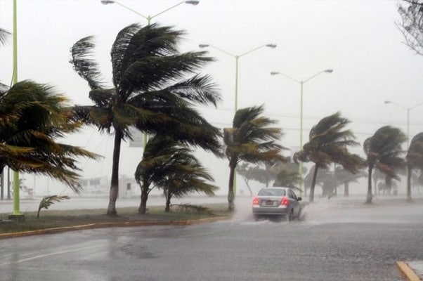 Senamhi pronostica fuertes ráfagas de viento en la costa