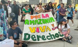 Segunda jornada de protesta: Colectivos y movimientos ambientales realizaron movilizaciones pacíficas contra la ¨Ley Antiforestal¨