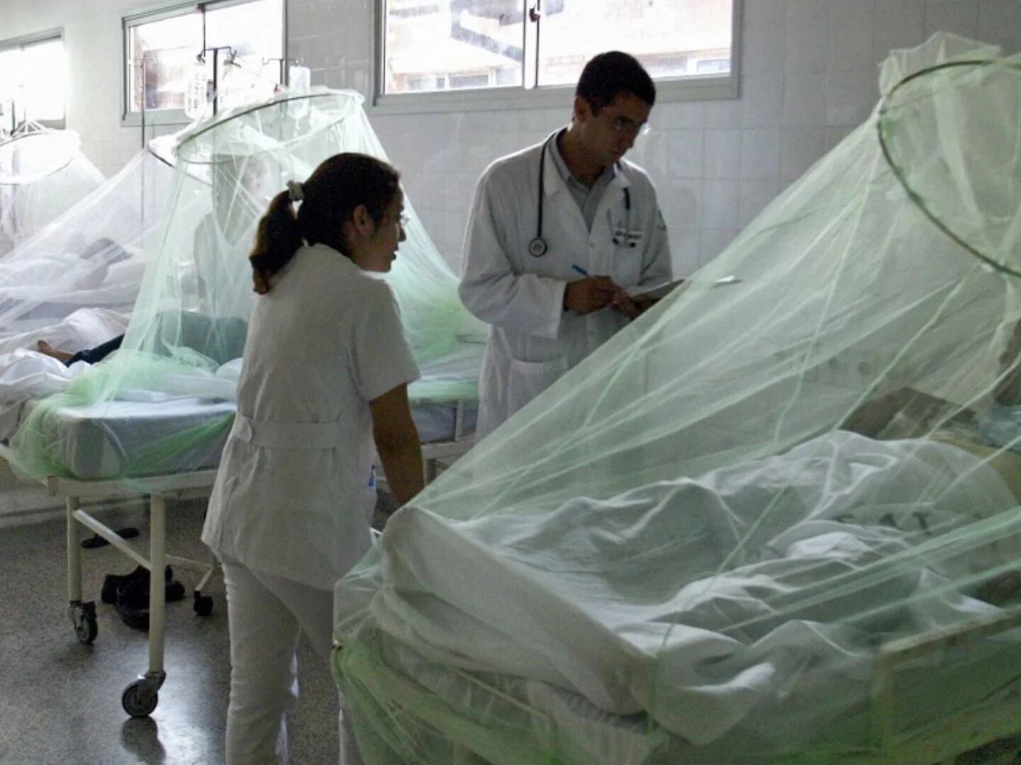 Muertos por dengue  suben a 146 y contagios  a 155 mil en todo el país