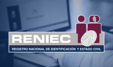 Consultas en Línea solo con DNI