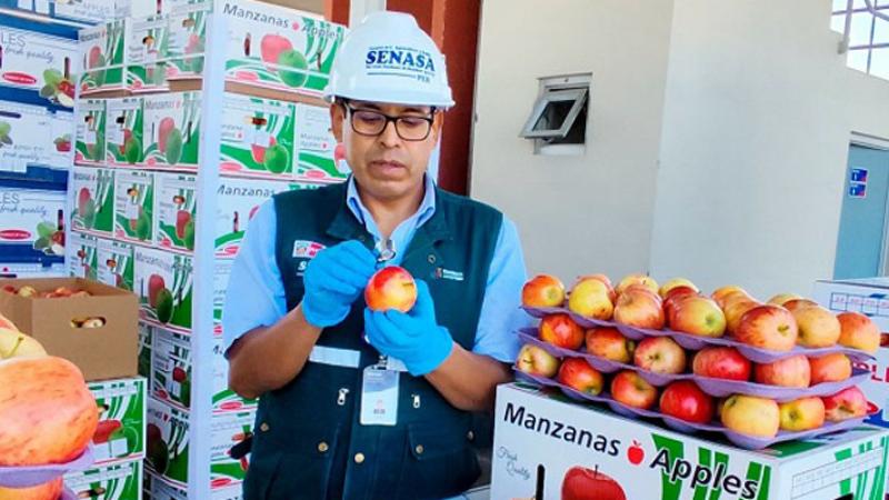 Perú suspende importación de manzanas chilenas