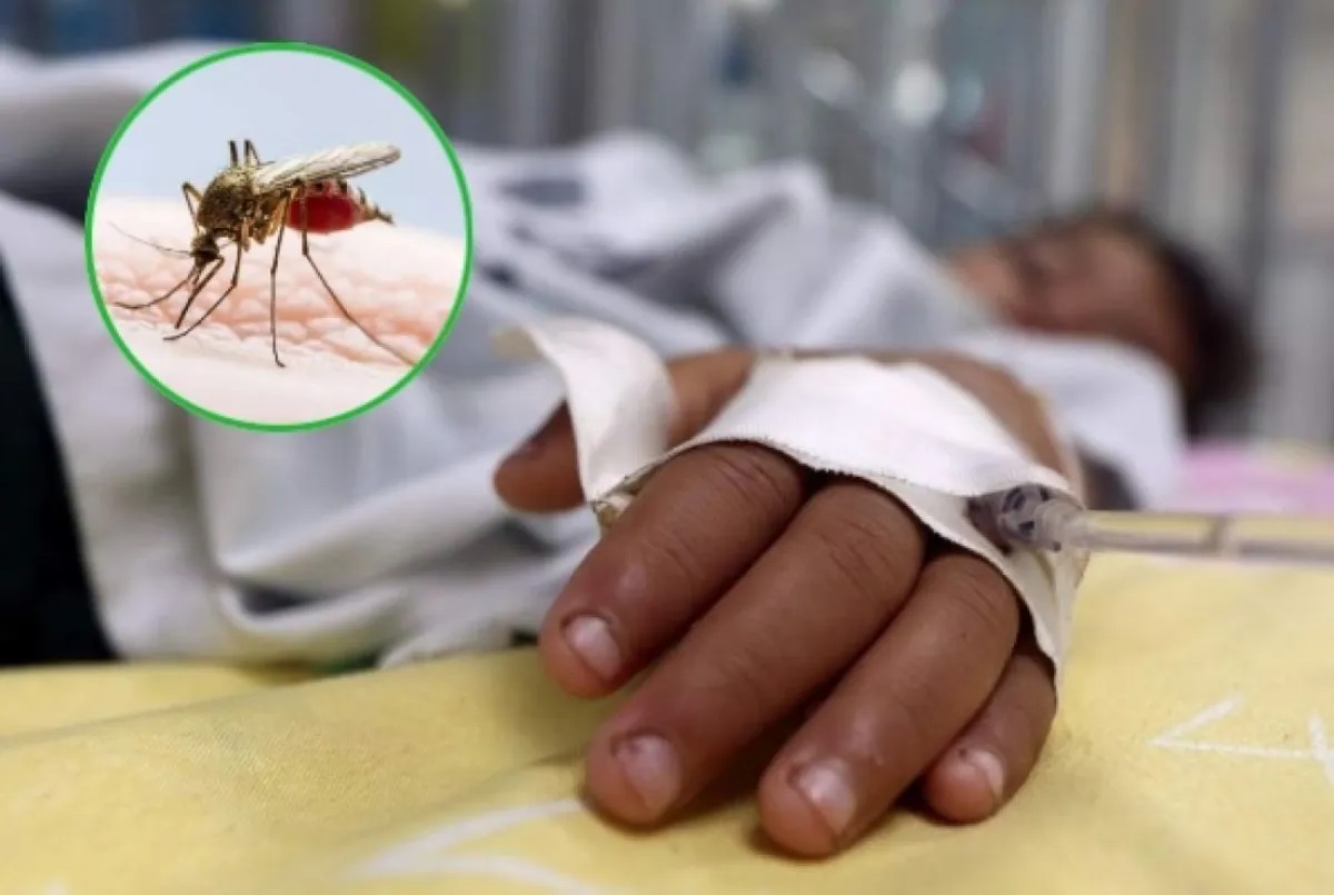 ¡Alerta! Reportan al primer muerto por coinfección de dengue