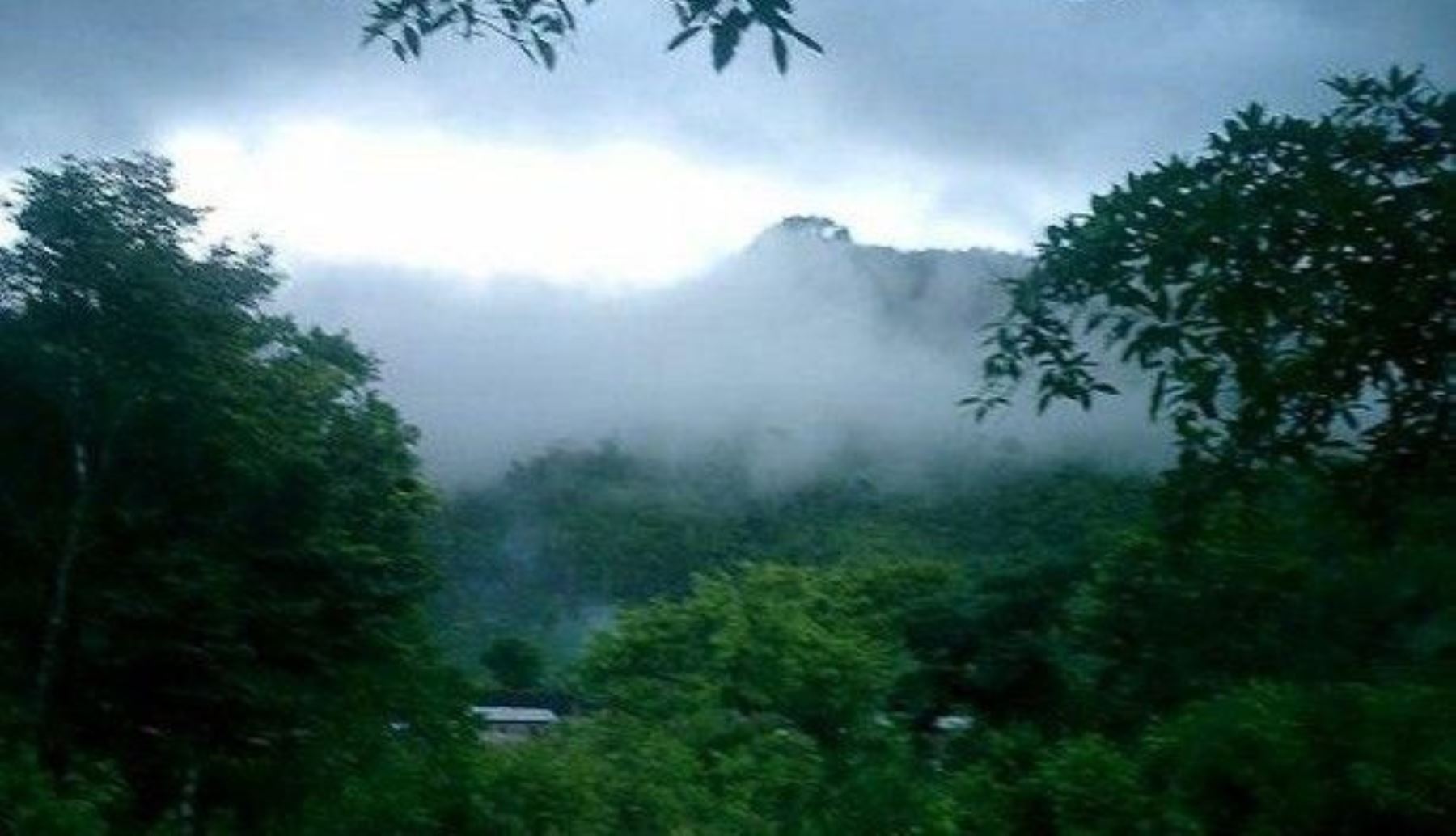 Temperaturas en la selva peruana descenderán este fin de semana