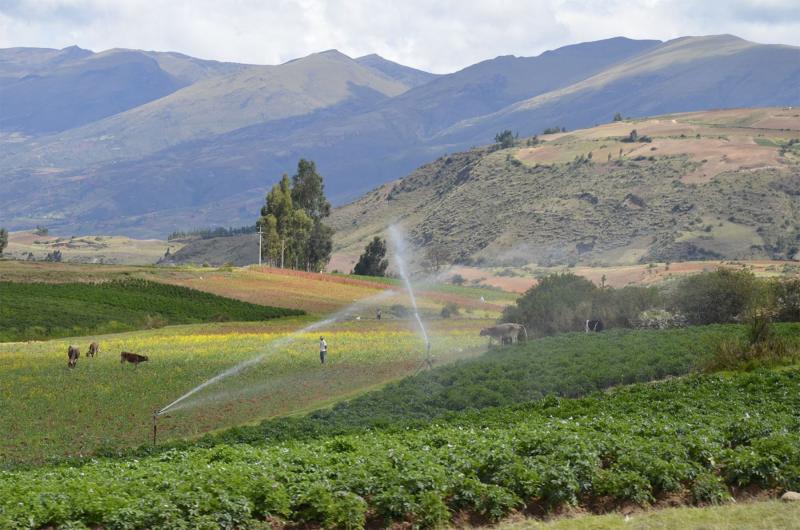 Adicionan más de 200,000 hectáreas en proyectos agrícolas