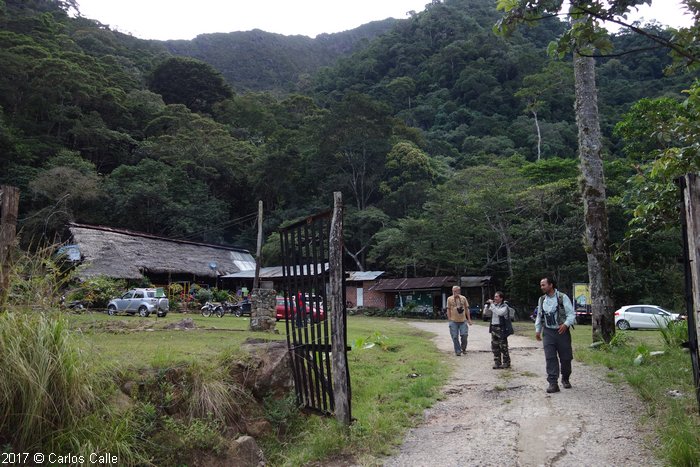 San Martín: Supervisan repoblación forestal en Cordillera Escalera