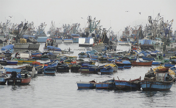 Paracas: Pescadores artesanales en contra de la pesca industrial