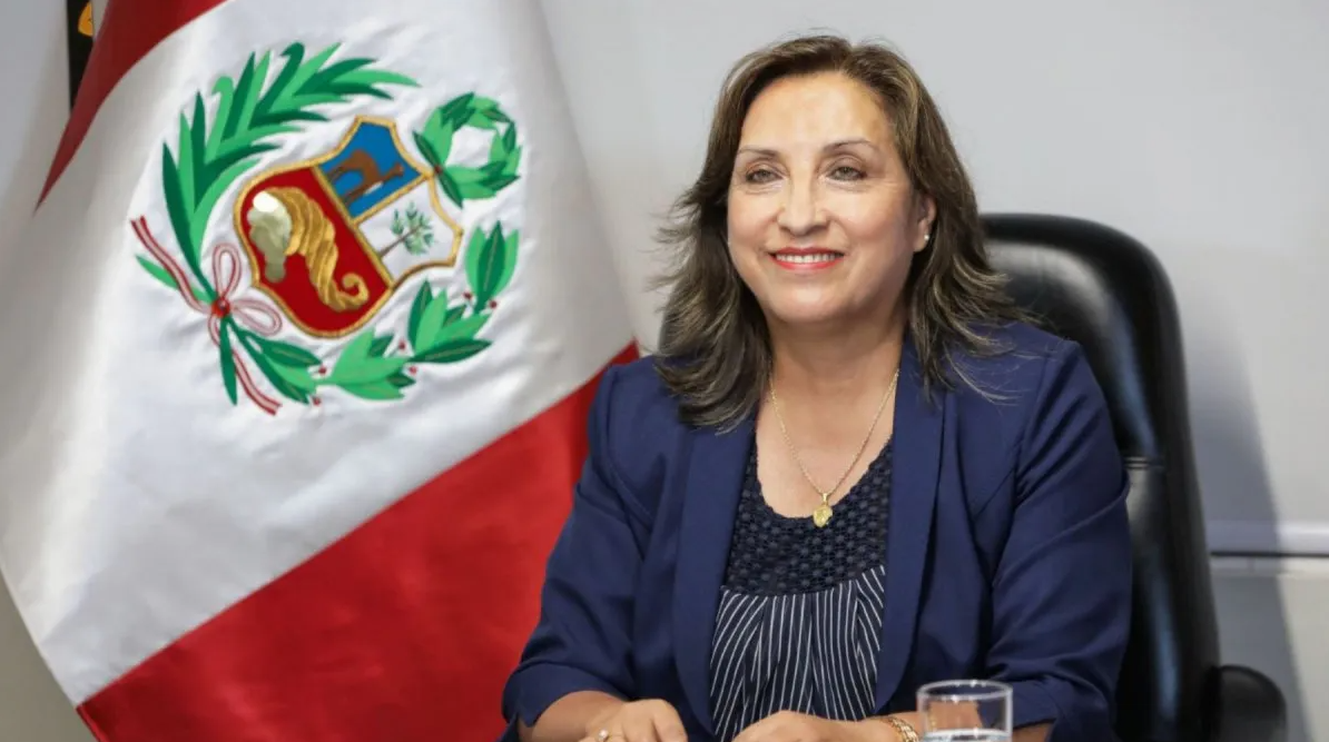 Dina Boluarte: congresista Luque pide sanción a presidenta por cirugía estética