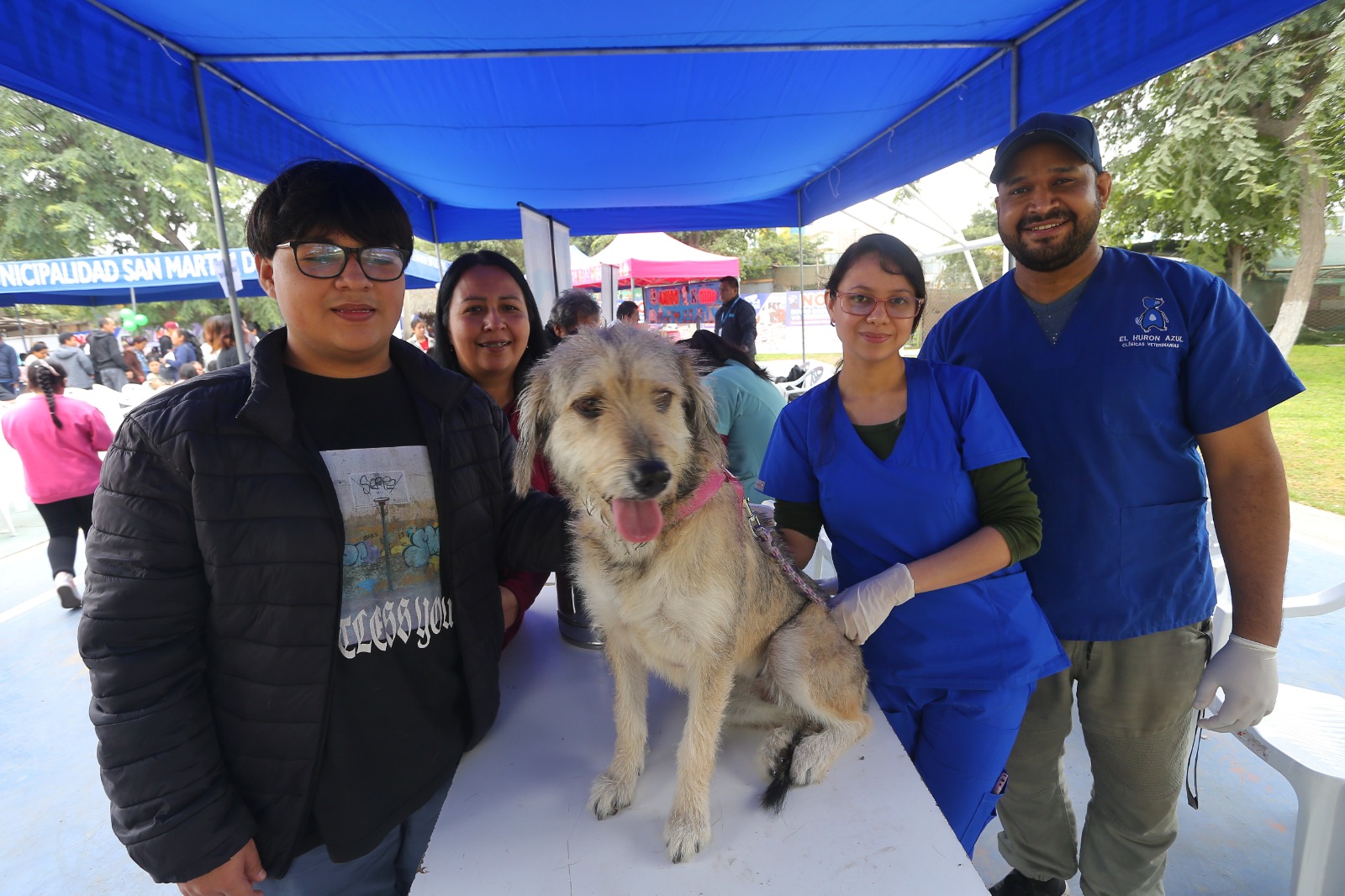 “Matripatitas”: Evento congregó a más de 1000 mascotas en SMP
