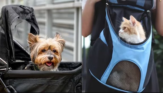 ¿Cómo viajar con mascotas en el Metropolitano, Metro y corredores?