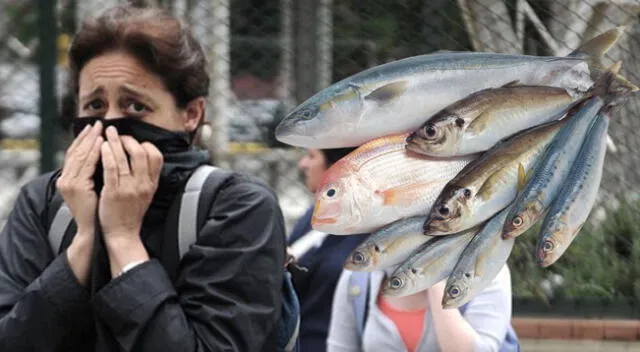 ¿Qué provoca el olor a pescado en las mañanas de Lima y Callao?
