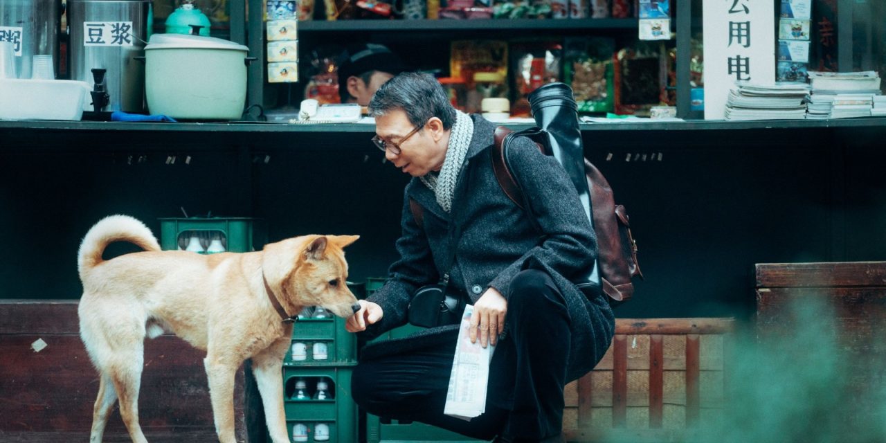 "Hachiko 2, Siempre a tu lado" la historia del perro más fiel llega a los cines