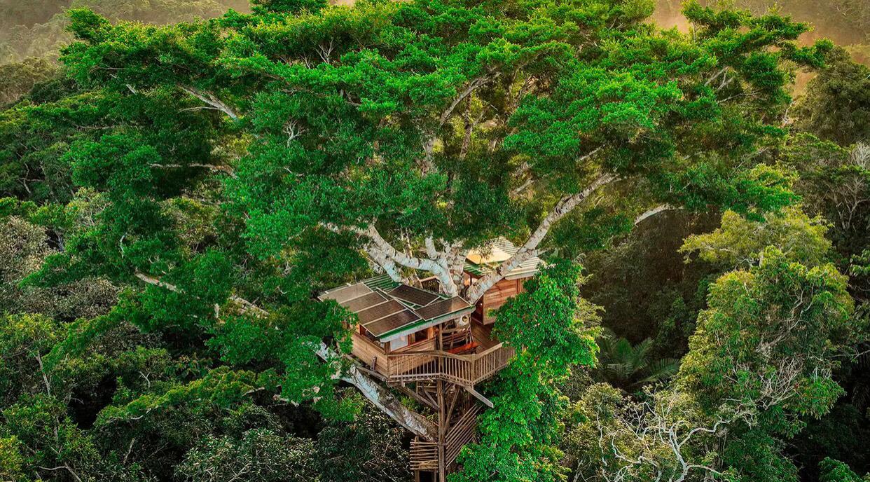 Conoce la casa del árbol ubicada en el Amazonas