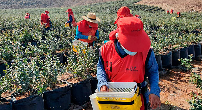 Economía peruana registró un crecimiento del 5,28% en abril