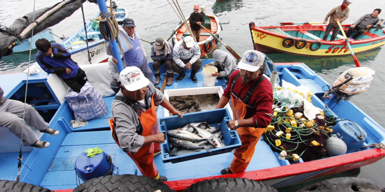 Sector pesquero conformará el 1% de la producción nacional