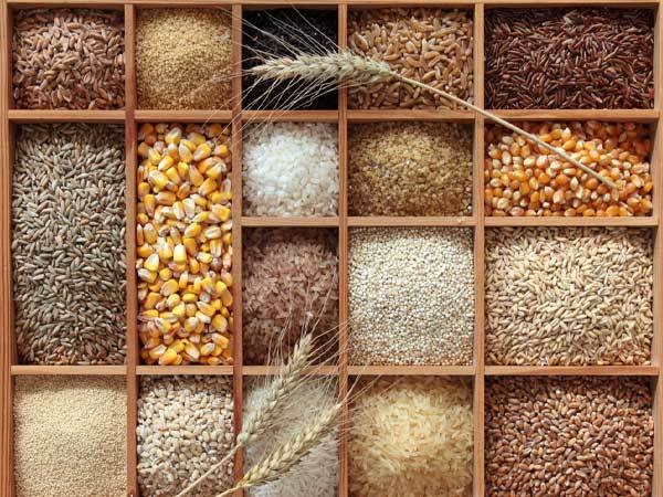 Exportación de granos andinos sobrepasan los US$ 43 millones
