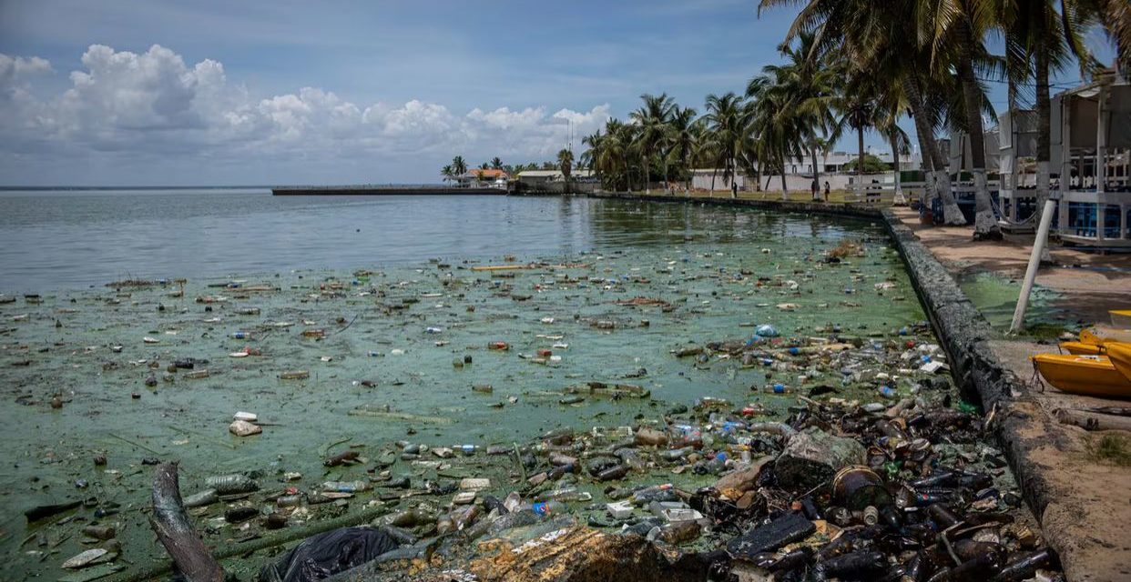 Ecosistemas de venezuela se encuentran amenazados