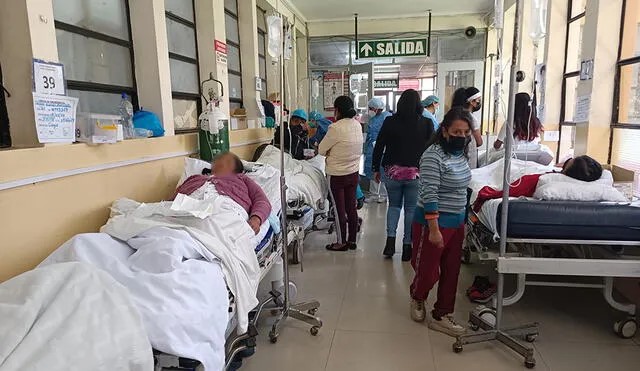 Ola de frío en Cusco  mata a 93 personas