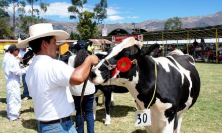 Feria Ganadera Fongal: Cajamarca espera más de 80,000 visitantes