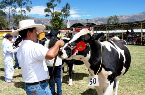 Feria Ganadera Fongal: Cajamarca espera más de 80,000 visitantes