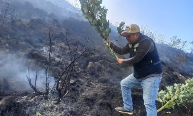 Cusco: Brigadistas controlan incendio forestal en Huarocondo tras tres días de lucha