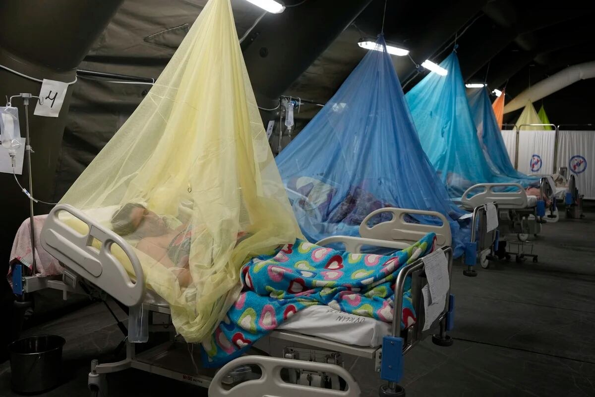 Polémica por datos de dengue presentados por Boluarte: Casos en Perú superan a 2023