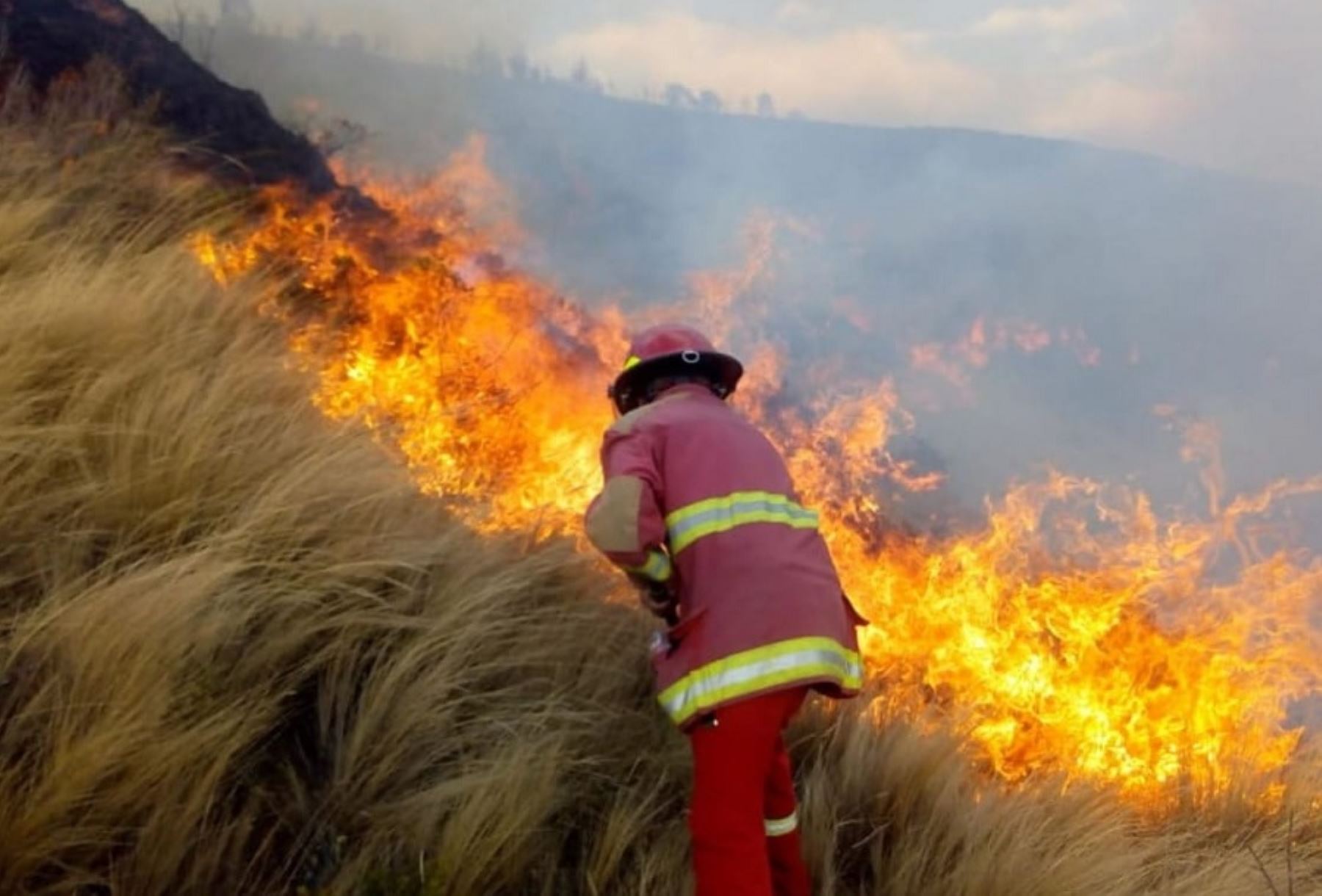 Indeci confirmó extinción de incendios forestales en Cusco y Ucayali