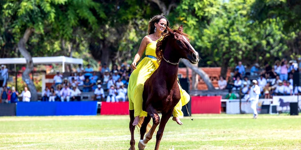 Claudia Arbulú: “El caballo de paso peruano es un motivo de orgullo nacional”