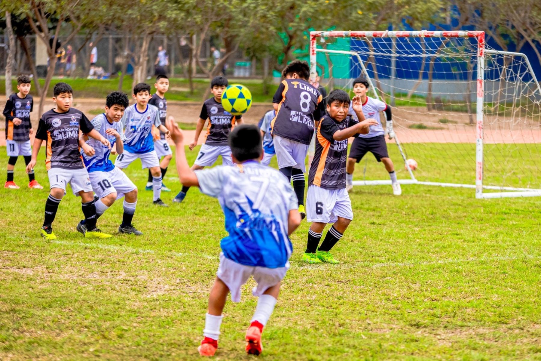 Escuelas deportivas y culturales gratuitas se ofrecerán en septiembre