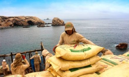 Cajamarca: Comienza la distribución de 750 toneladas de guano