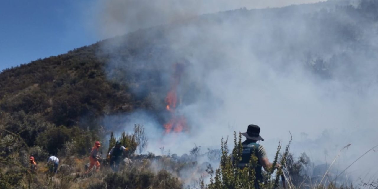 Incendios forestales afectaron distritos de Huánuco y Áncash