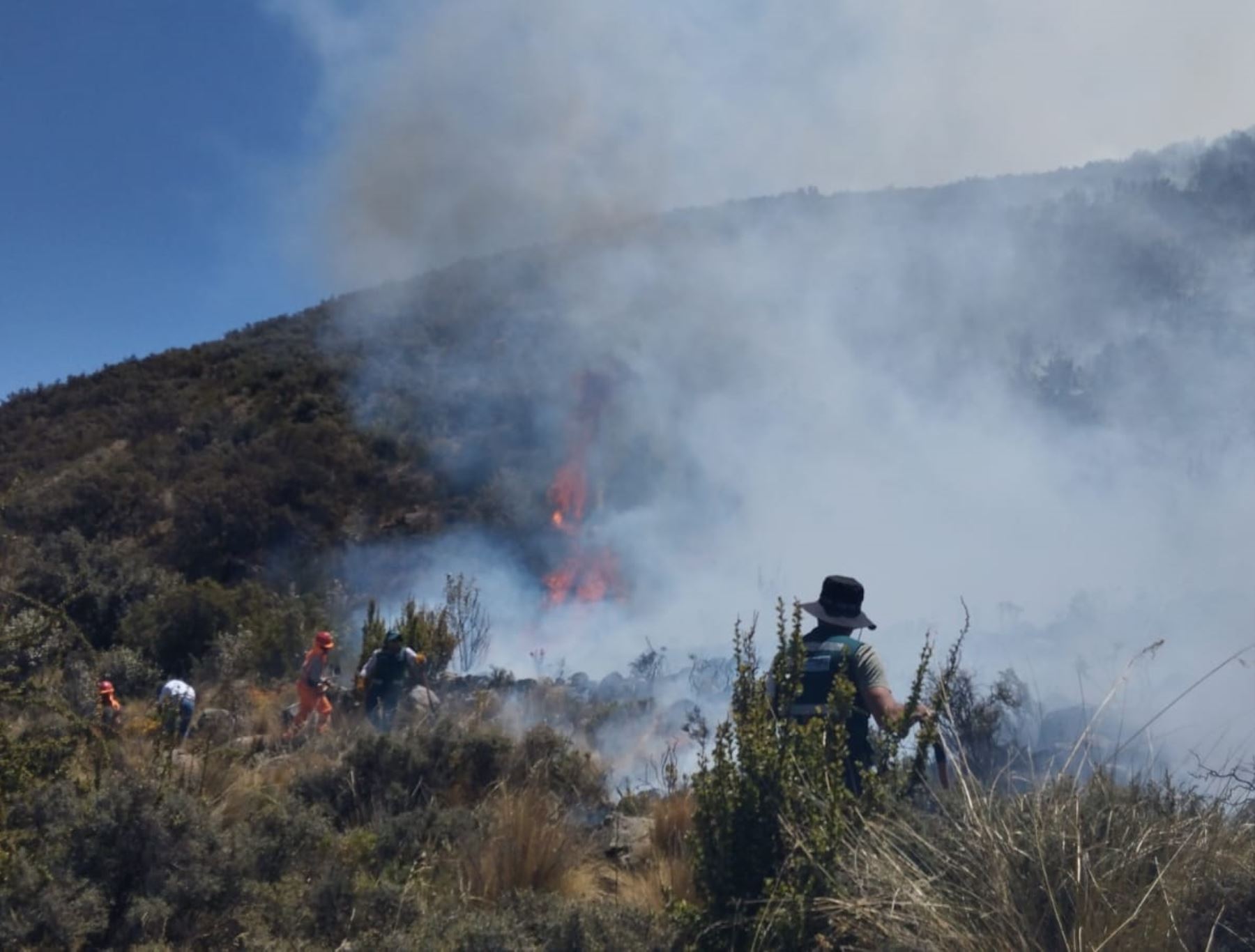 Incendios forestales afectaron distritos de Huánuco y Áncash