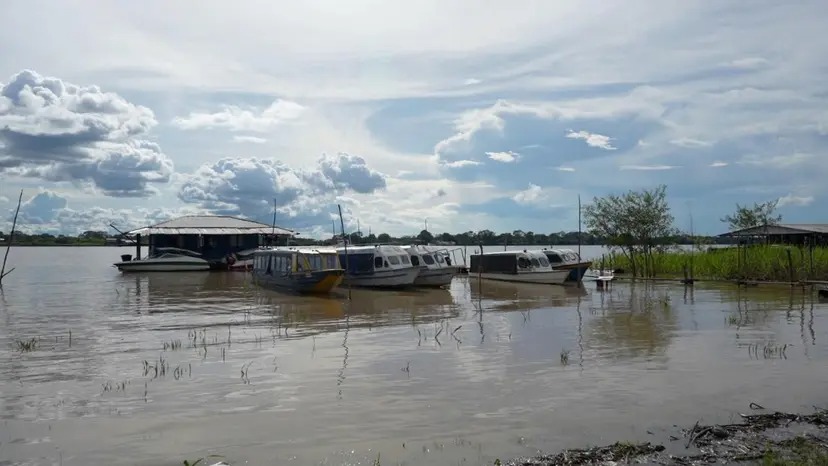 Alarma por el descenso del caudal del río Amazonas